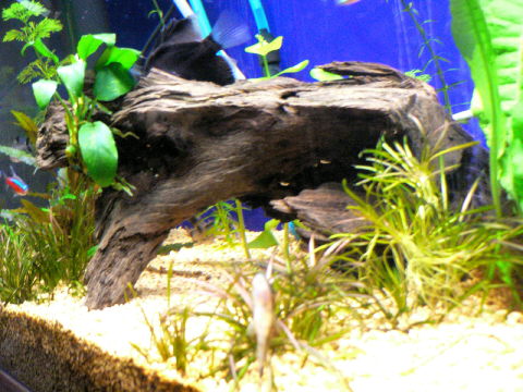 c0069444_18285322.jpg