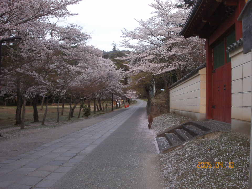 b0039246_033392.jpg