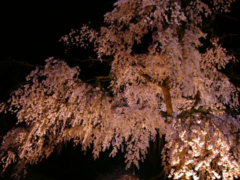 a0024250_156589.jpg
