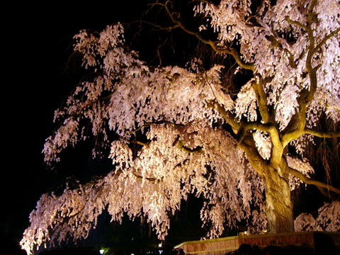 a0024250_22777.jpg