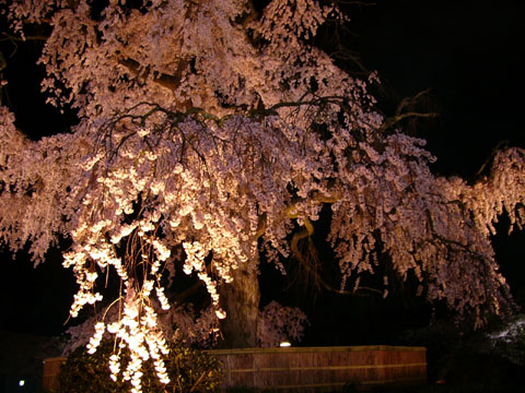 a0024250_2423649.jpg