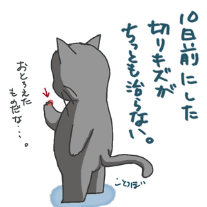 a0001756_0135881.gif