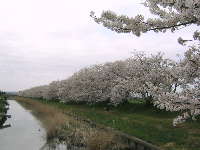 c0055363_18404580.jpg