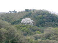 c0055363_194215.jpg
