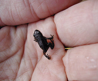 c0009070_23213756.jpg