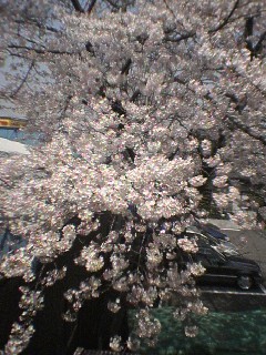 c0070372_22335630.jpg