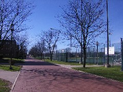 d0014975_12263660.jpg