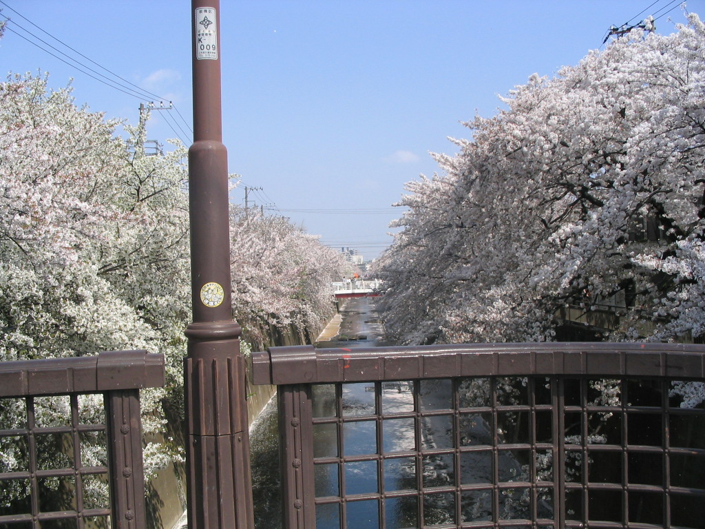 c0067077_1052229.jpg