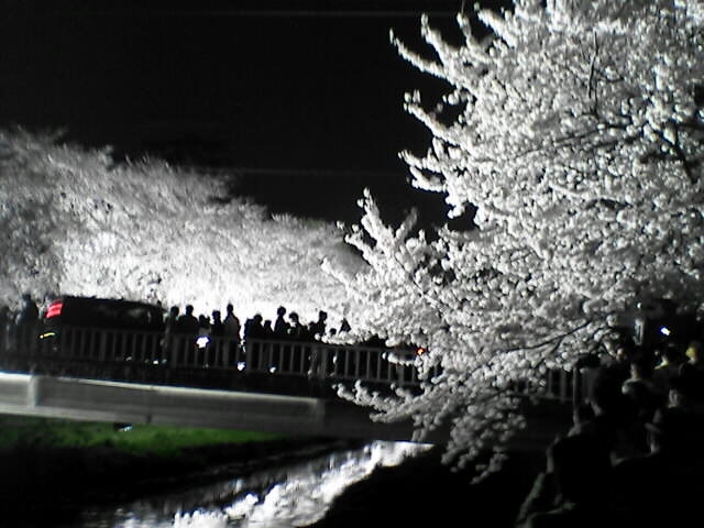 c0069380_1119723.jpg
