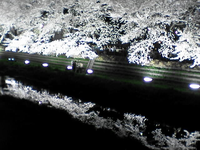c0069380_1136114.jpg