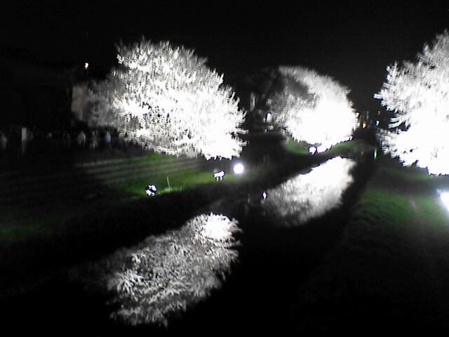 c0069380_11553158.jpg