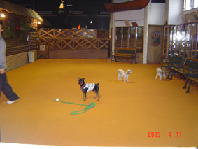 b0040490_16485463.jpg