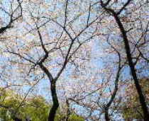 c0036690_202169.jpg