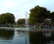 c0036690_204669.jpg