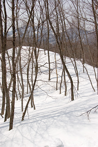 c0048494_21221038.jpg