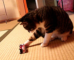 c0035001_14503822.jpg