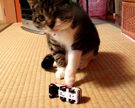 c0035001_1451155.jpg