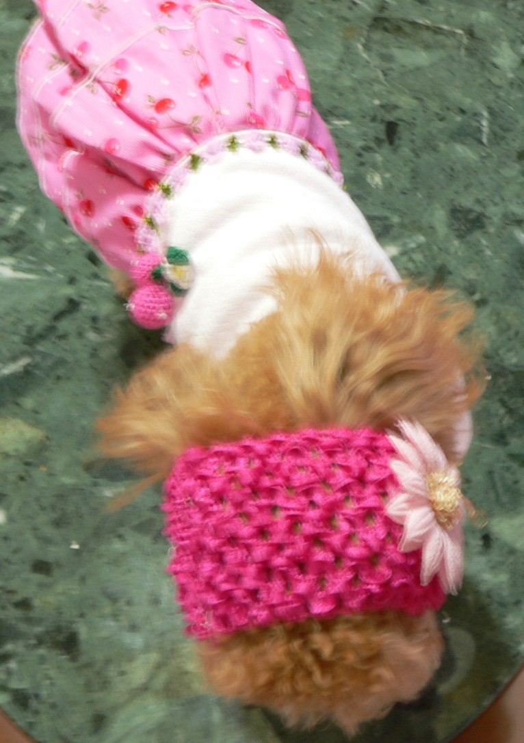 c0041207_16155859.jpg