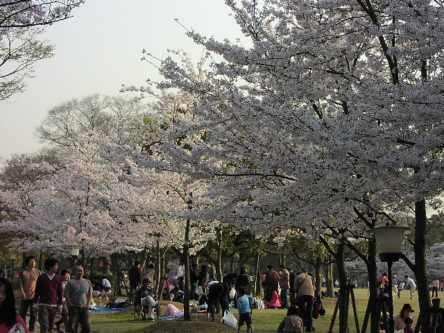 a0031718_0334721.jpg
