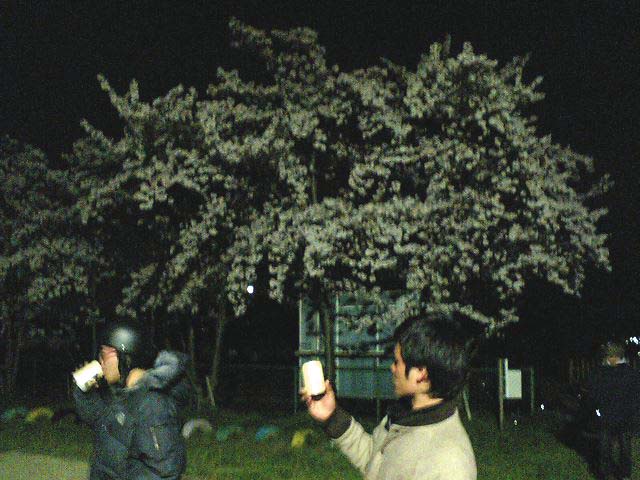 c0041619_157249.jpg