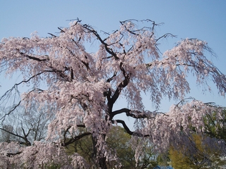 a0027720_2211857.jpg