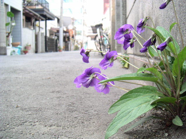 b0060646_20434098.jpg