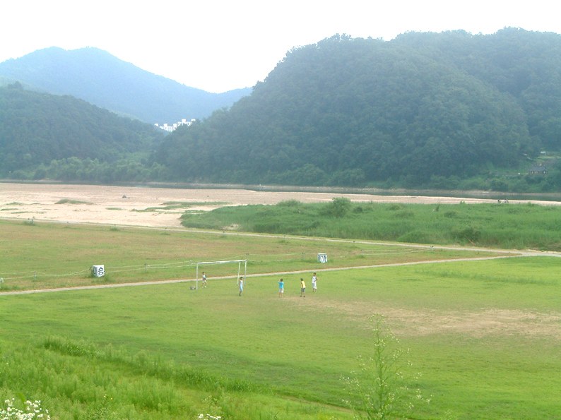 d0021973_20163353.jpg