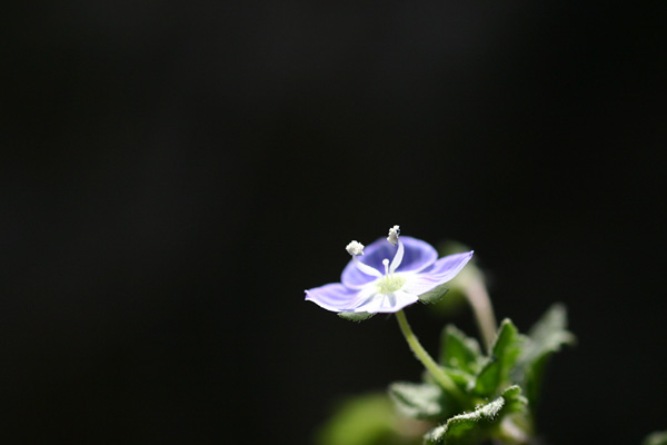 b0067789_2312947.jpg
