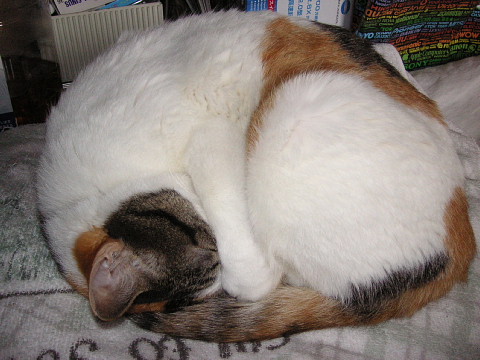 a0024005_2543954.jpg