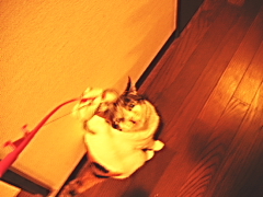 a0024005_321259.jpg