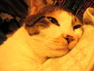 a0024005_3252911.jpg