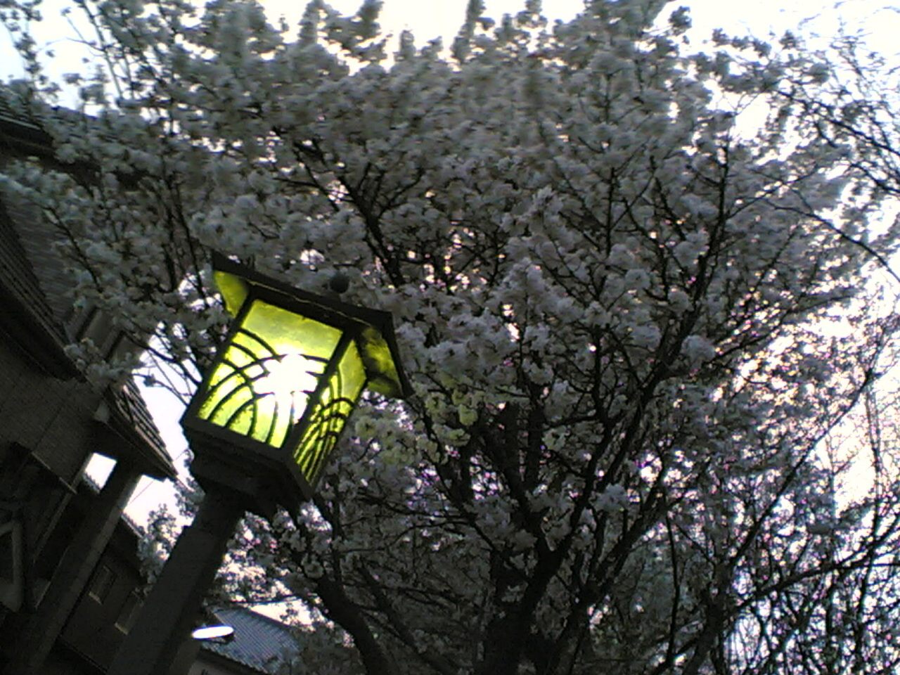 d0011916_5405591.jpg