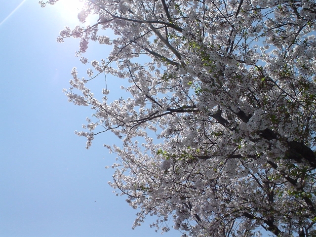 c0024743_21502058.jpg
