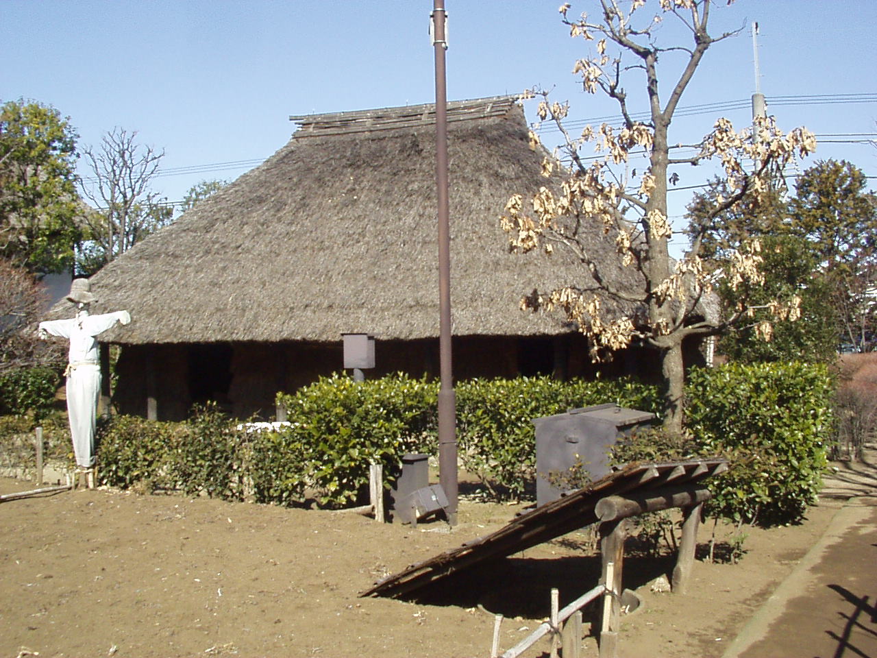 a0009647_16431444.jpg