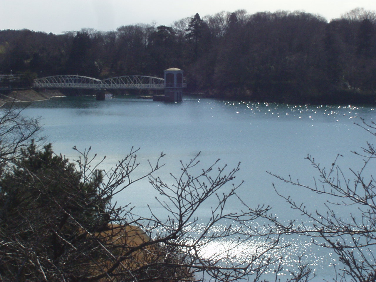 a0009647_16445740.jpg