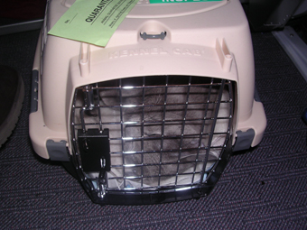 c0006748_15252745.jpg