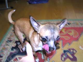 c0019050_916362.jpg