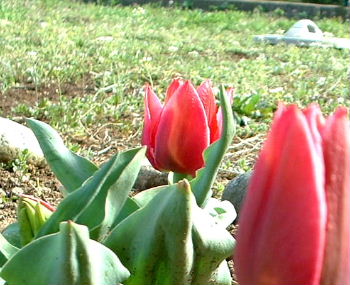 b0015260_15253048.jpg