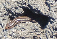b0009665_235710100.jpg