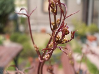 c0045882_2245865.jpg