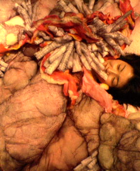 c0014786_23422919.jpg