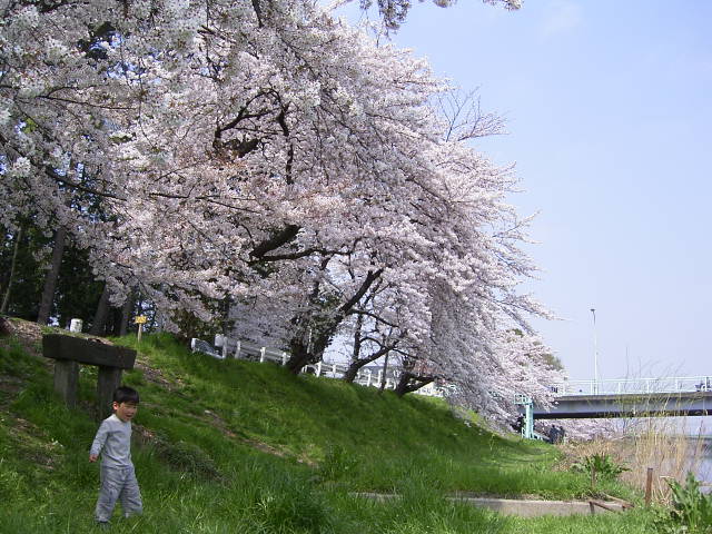 b0052394_21283820.jpg