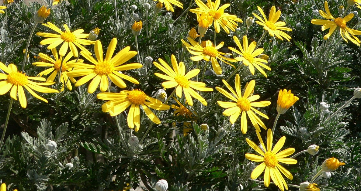 c0041207_20482036.jpg