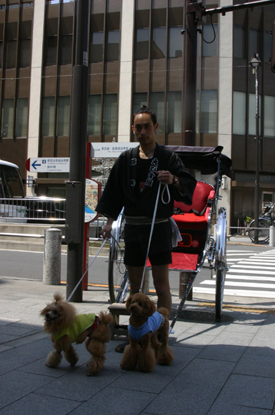 a0016311_2193629.jpg