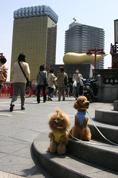 a0016311_223447.jpg