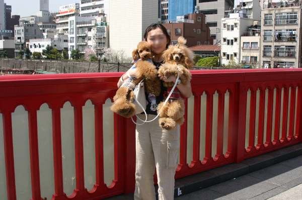 a0016311_228467.jpg