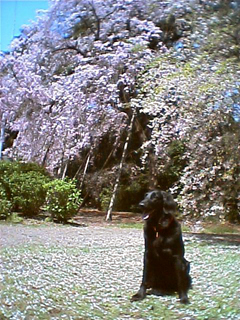 c0012120_23142290.jpg