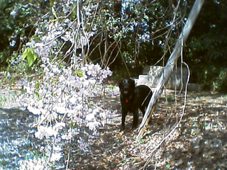c0012120_23171913.jpg