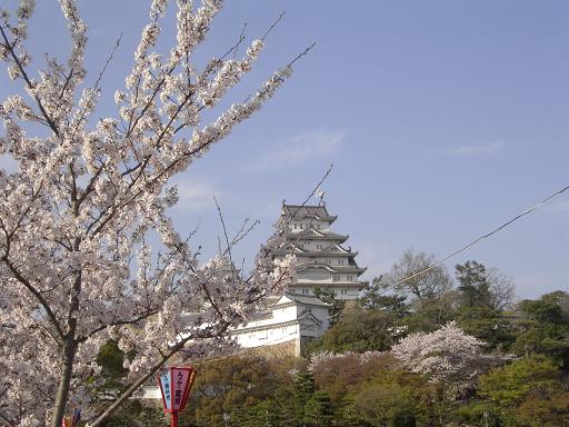 c0063627_22453825.jpg