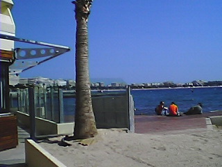 a0033438_638847.jpg